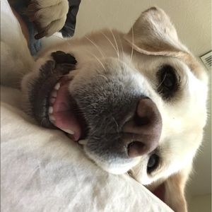 Meet your Posher, Ana